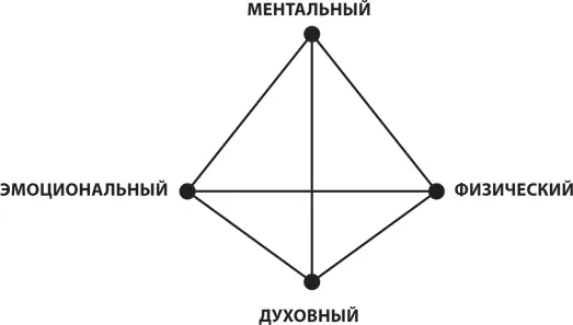 Дисциплина воздействует на все эти краеугольные камни Чтобы уголь превратился - фото 24