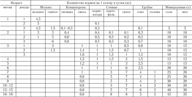Забой бычков Бычков которые предназначены для забоя нужно кормить обильно - фото 25