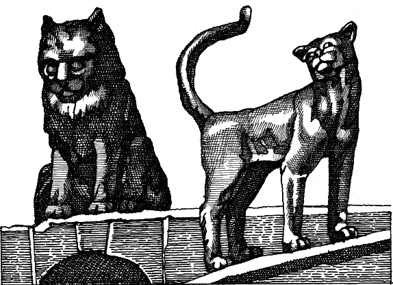 Кот Елисей и кошка Василиса История кошачьего племени в СанктПетербурге имеет - фото 118