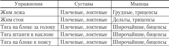 ТРЕНИРОВКА PUSHPULL ТЯНИТОЛКАЙ Можно сгруппировать части тела согласно их - фото 119