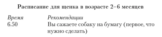 Составьте подобный план для себя тогда ваши проблемы с собачьим туалетом будут - фото 37