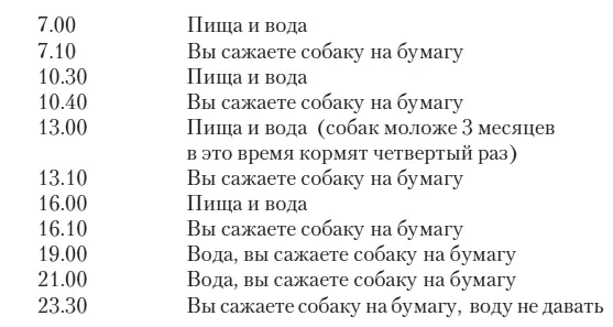 Составьте подобный план для себя тогда ваши проблемы с собачьим туалетом будут - фото 38