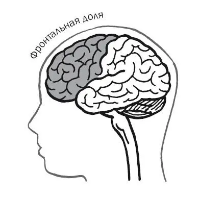 Но помимо изменений личности трудно понять насколько истории Гейджа и Элиота - фото 48