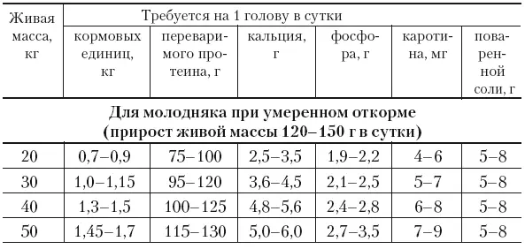Откорм овец способствует увеличению производства баранины и существенно - фото 45