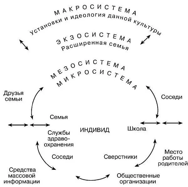 Экологическая модель социальных влияний У Бронфенбреннера Первая из них это - фото 7
