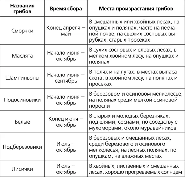 Лишайники небольшое светлозеленое серого или яркого цвета растение без - фото 176