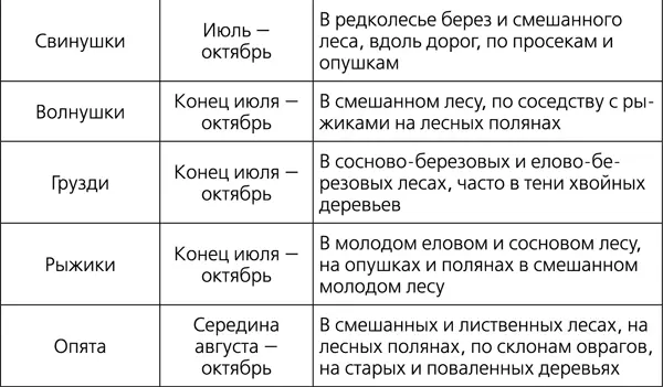 Лишайники небольшое светлозеленое серого или яркого цвета растение без - фото 177