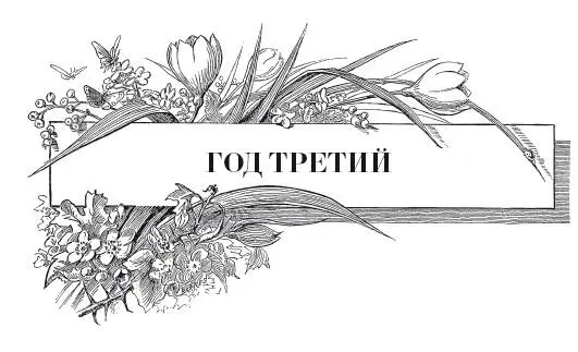 Астра Наступила весна третьего года освоения нашего приусадебного участка Я - фото 18