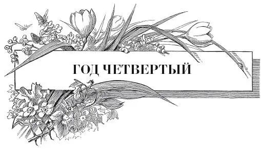 Ягода здоровья калина Узнав какое это замечательное растение калина - фото 21