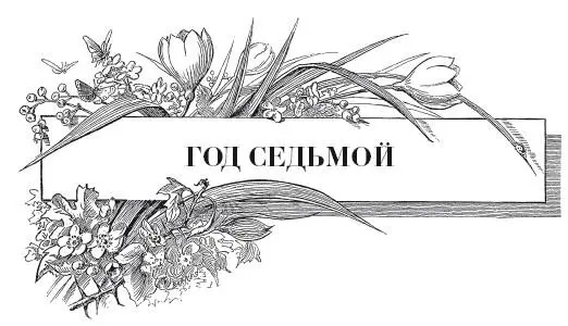 Чеснок Несколько лет прошло с тех пор как я впервые попробовала выращивать - фото 34