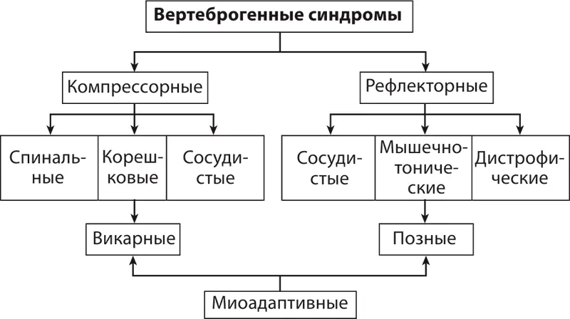 Схема 1Классификация вертеброгенных синдромов Попелянский Я Ю Различают - фото 148
