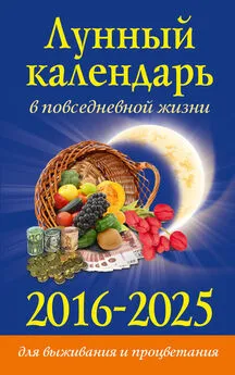 Диана Хорсанд-Мавроматис - Лунный календарь в повседневной жизни для выживания и процветания. 2016–2025