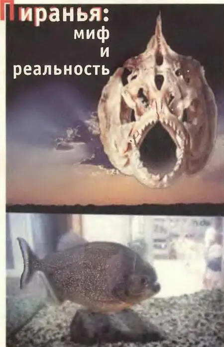 Об этом в следующем номере - фото 77