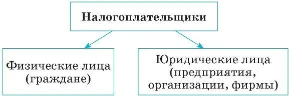 Налоги делятся на прямые которыми облагаются доходы и имущество например - фото 23