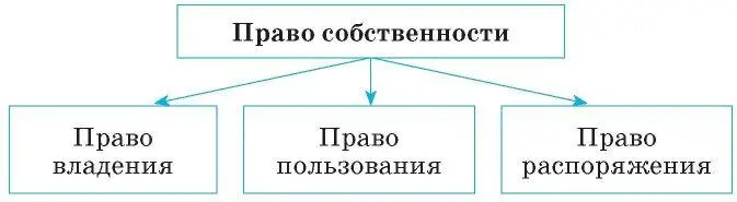 Собственнику имущества принадлежат следующие правомочия право владения - фото 47