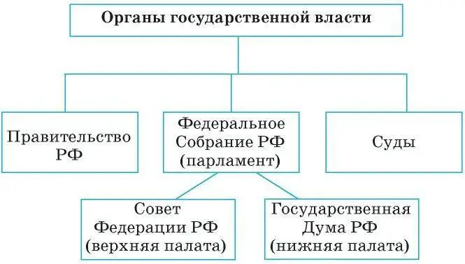Президент РФКонституция наделила его очень большими полномочиями которым - фото 63