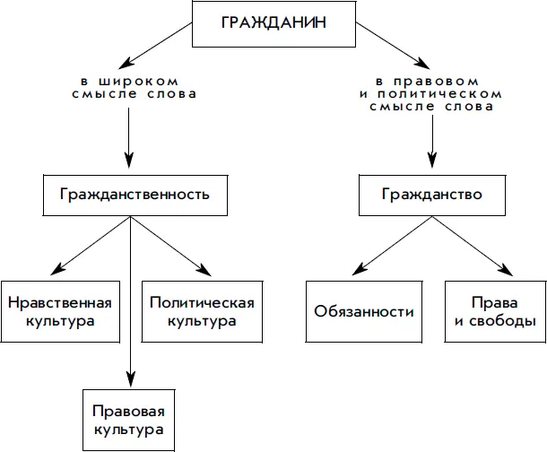 Итак гражданин это прежде всего лицо наделенное гражданскими политическими - фото 159