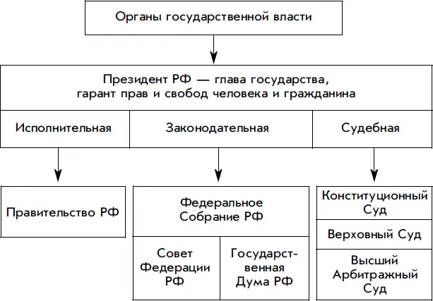 ПРЕЗИДЕНТ Конституция наделила его очень большими полномочиями Президент РФ - фото 187