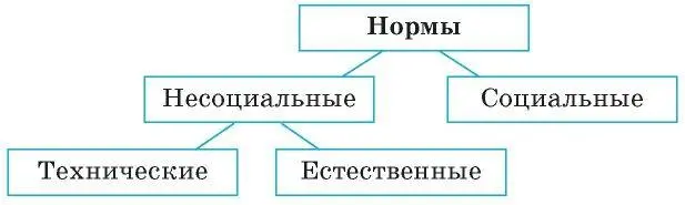 Выделяют следующие виды социальных норм Несмотря на такое разнообразие видов - фото 1