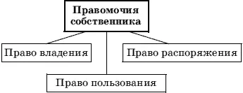 Рис 7 Правомочия собственника Отношения собственности регулируются статьей 8 - фото 7