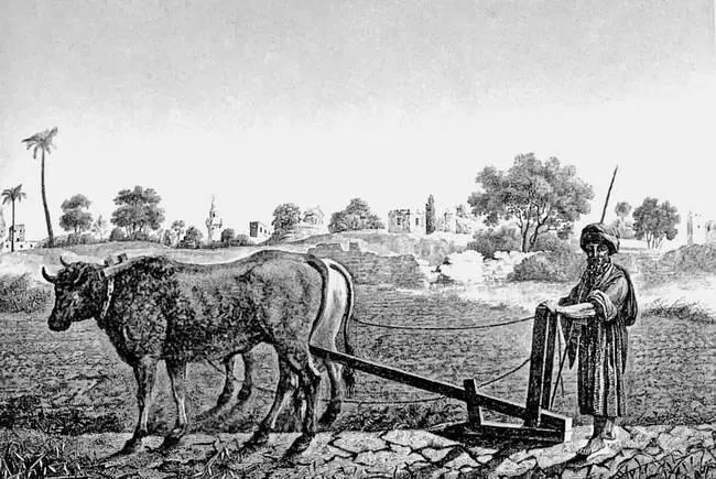 Рис 7 Вспашка земли в Египте конца XVIII века после спада нильской воды Это - фото 7