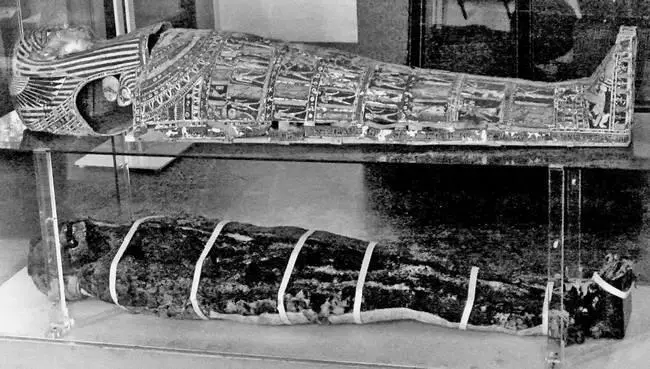 Рис 43 Крышка антропоморфного древнеегипетского деревянного гроба и мумия из - фото 44