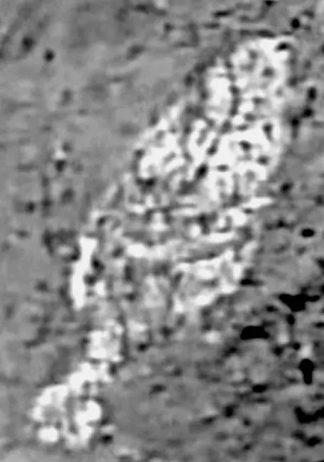 Рис 67 Царская тугра с трезубцем посередине изображенная на груди египетской - фото 68
