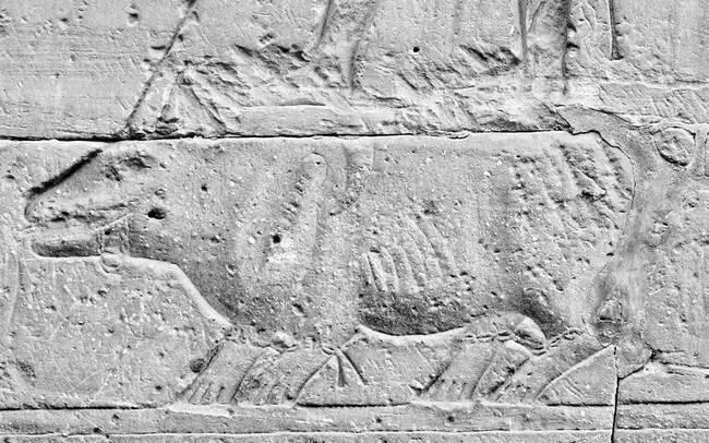 Рис 230 Зверь которого убивает Гор Ноги зверя связаны цепью а из его пасти - фото 231