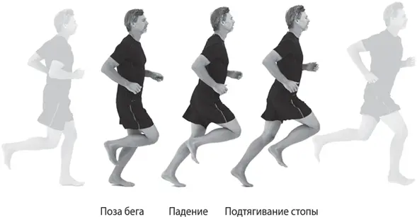 Я пришла к Позному методу изза травм повреждение мениска и проблемы с - фото 1