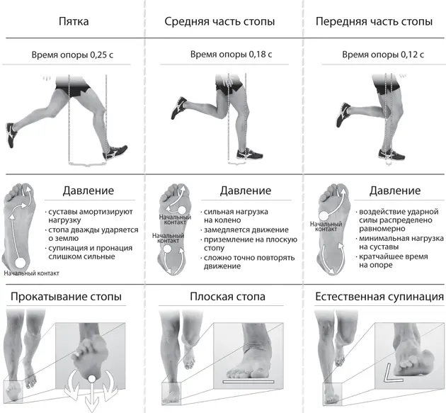 Сравнение разных видов приземления 6 Выполните 3 раза на каждой ноге - фото 84