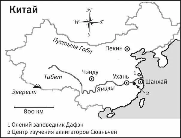 На этот раз я приехал как уважаемый исследователь не должен был передвигаться - фото 8