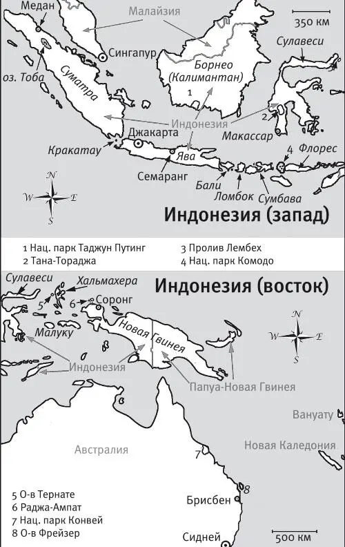Впрочем три недели проведенные нами на Суматре не были совсем уж безнадежно - фото 60