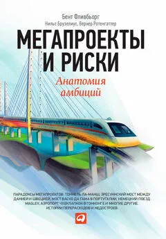 Вернер Ротенгаттер - Мегапроекты и риски. Анатомия амбиций