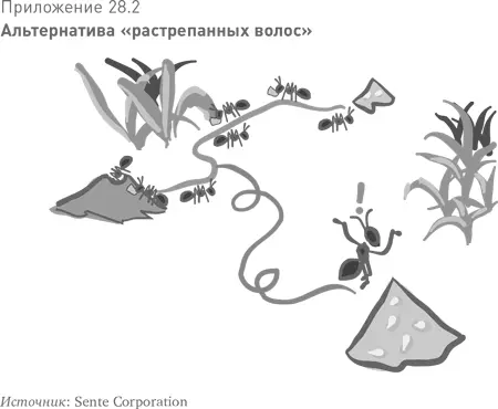 К знаниям через разнообразие Что общего имеют муравьи и лабиринты со столь - фото 64