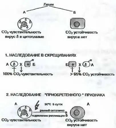 Неменделевское наследование признака который зависит от популяции - фото 31