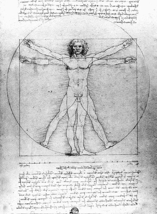 Леонардо да Винчи Витрувианский человек Перо чернила металлическая игла - фото 12