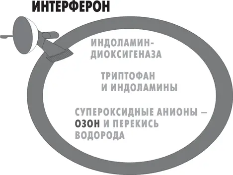 Рисунок 7 Аварийное химическое производство озона перекиси водорода и - фото 19
