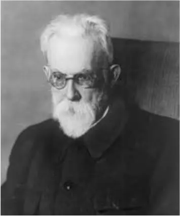 Вернадский Владимир Иванович 1863 1945 Нобелевскими премиями были отмечены - фото 50