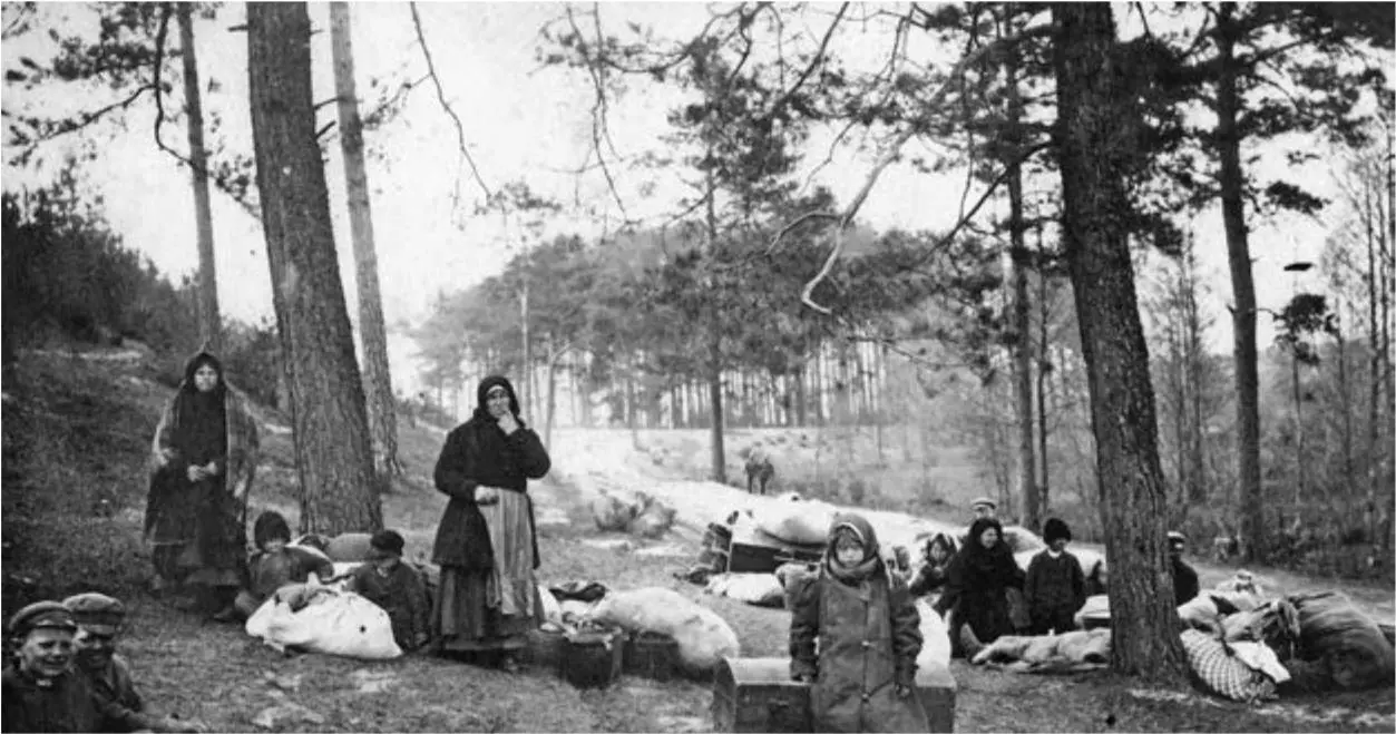 Беженцы Военные кампании 1916 гВ 1916 г главный удар германская армия должна - фото 76