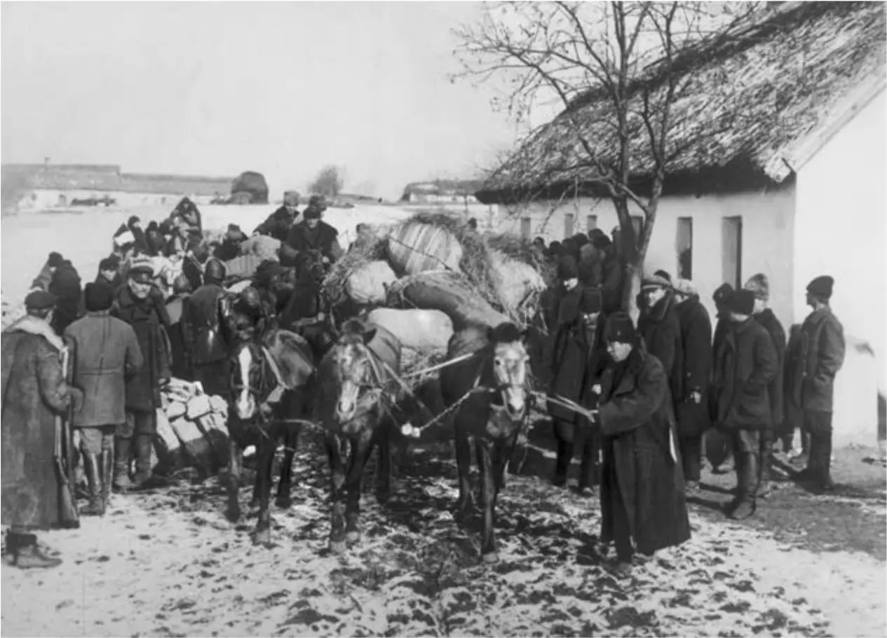 Реквизиция хлеба у крестьян 1919 г Земельный передел запрет на использование - фото 106