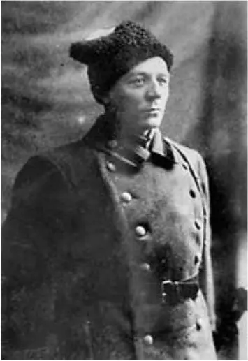 Думенко Борис Мокеевич 1888 1920 Пошла на спад и иностранная военная - фото 110
