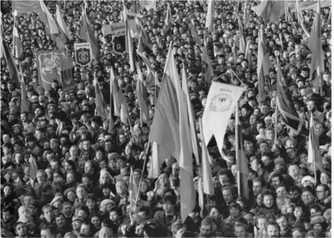 Демонстрация литовского народного фронта Саюдис Проект договора вызвал - фото 181