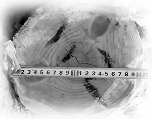 Рис 33Измерение диаметра бревна БМетод усеченного конуса Вычисление - фото 147