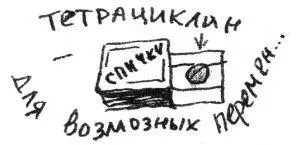 Древняя берберская поговорка гласит когда ослабевает лев голову поднимают - фото 257