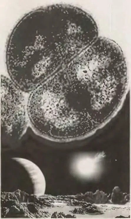 Понимаете Еще Джеймс Лавлок в 1972 году писал что Земля это огромное живое - фото 3