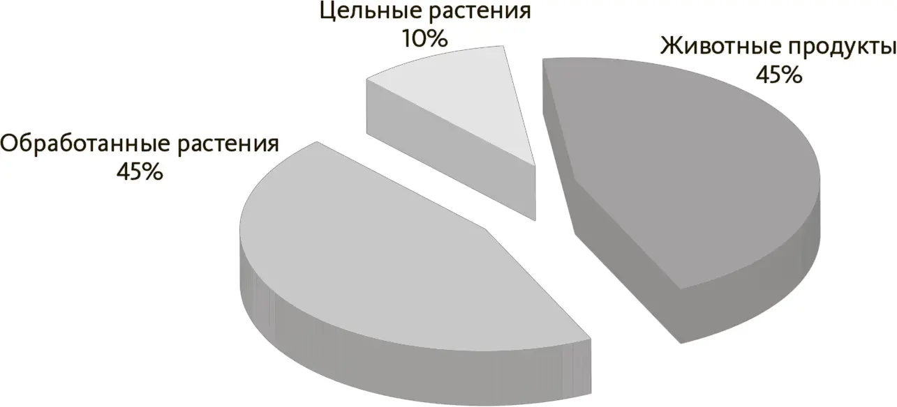 Цельные растения картофель фри помидоры в кетчупе и пицце соусы для макарон - фото 6