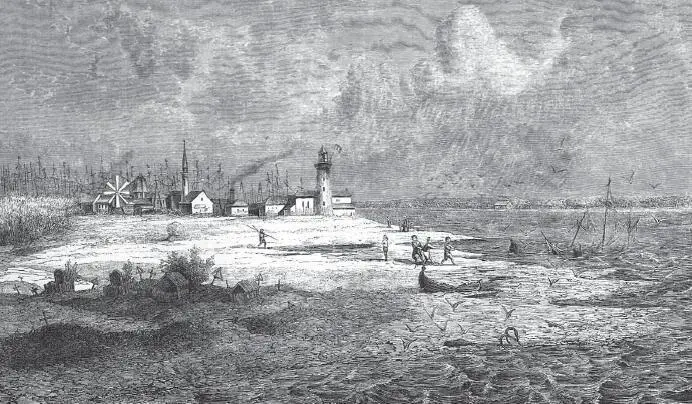 Район Сулины Рисунок 1859 год Дунайская вода течет медленнее чем научился - фото 43