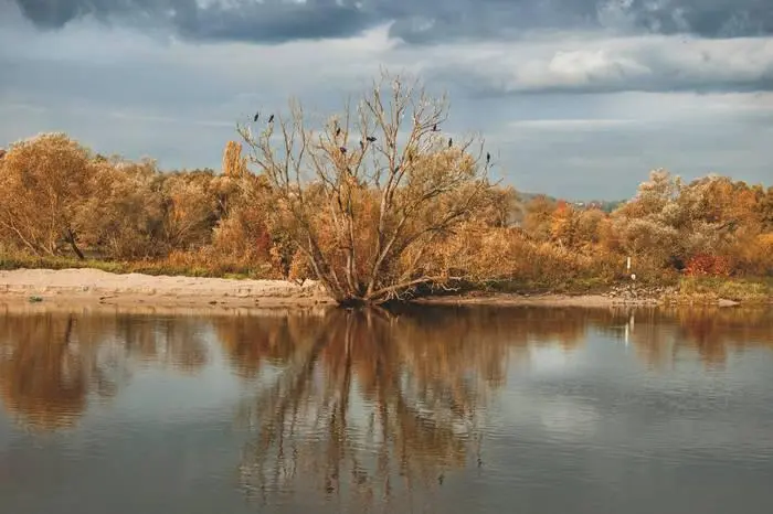 Осенний Дунай в районе Кельхайма Фото Ольги Баженовой Дунай в районе Ваца - фото 170