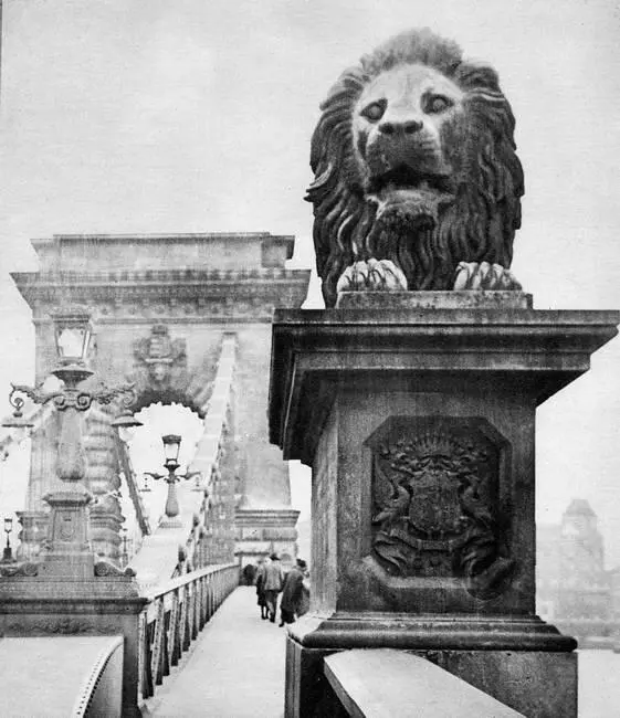 Мост Сечени Фото 1928 года Сечени говорил на нескольких языках но в - фото 37