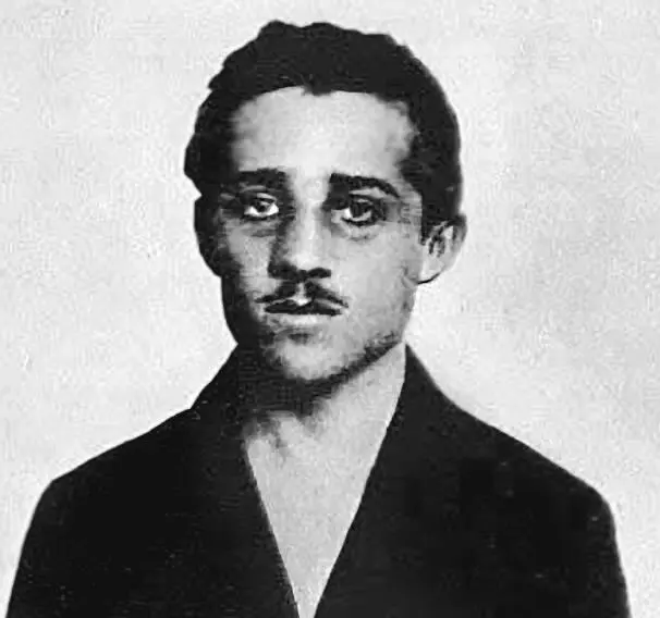 Гаврило Принцип 18941918 родился в многодетной сербской семье почтового - фото 112